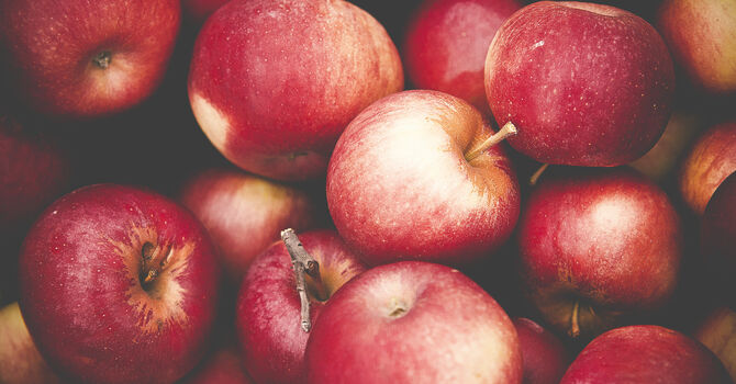 Lasting Fruit
