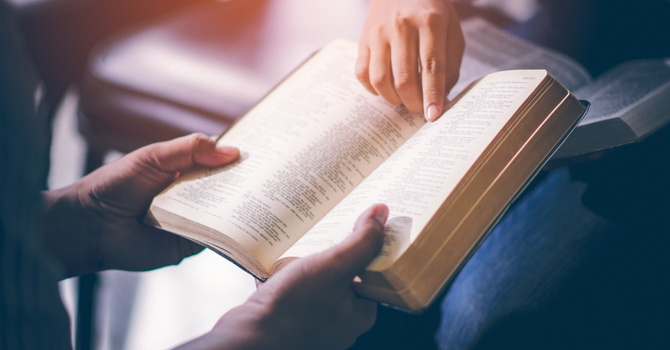 Bible Studies