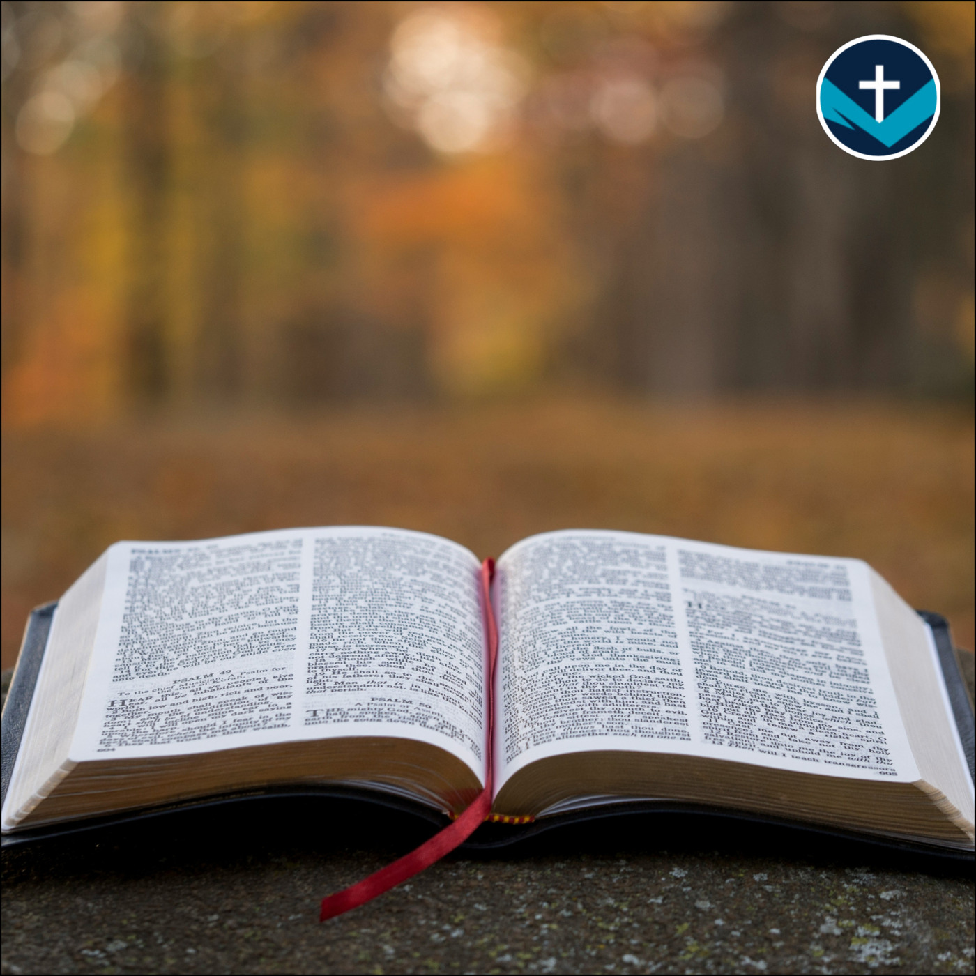 Let the Word Do the Work: 1 Timothy 4:11-16 episode artwork