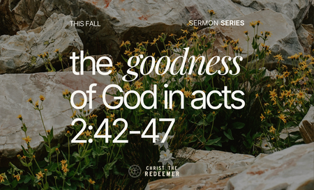 The Goodness of God in Acts 2:42-47