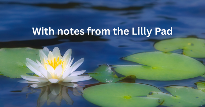 Newsletter image