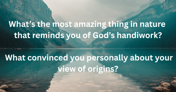What's the most amazing thing?