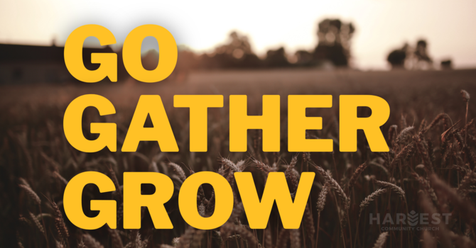 Cultivating God's Kingdom
