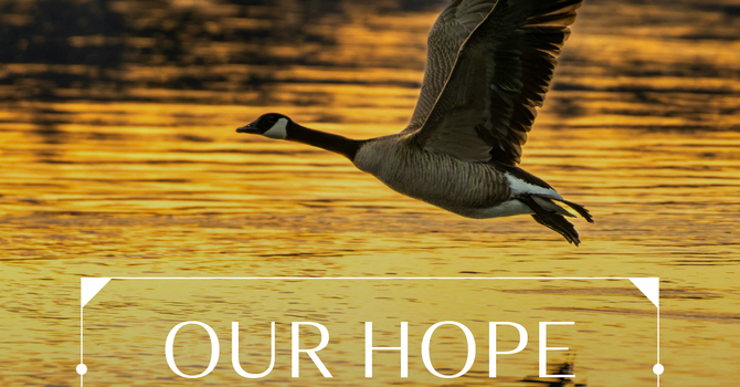 Our Hope IS In the Lord