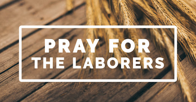 Praying for More Laborers image