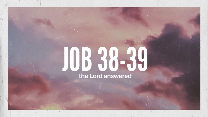 Job 38-39