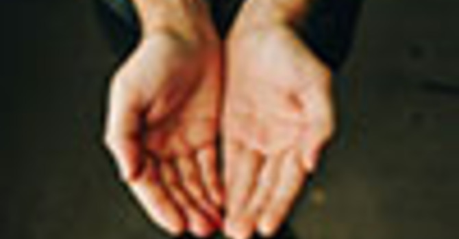 Want to deepen your understanding of stewardship?&nbsp;