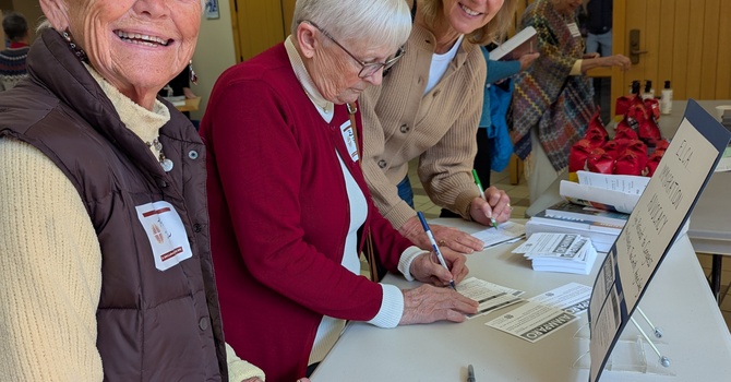 Bright Spot: Practicing Advocacy image