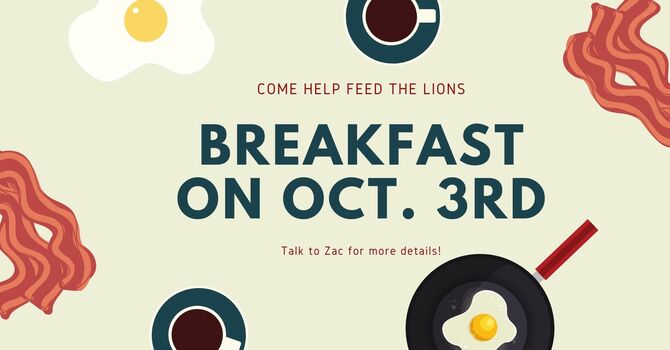 Feed The Lions!