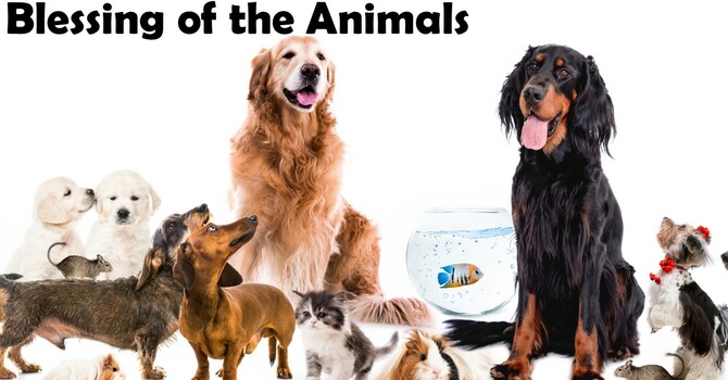 Blessing of the Animals
