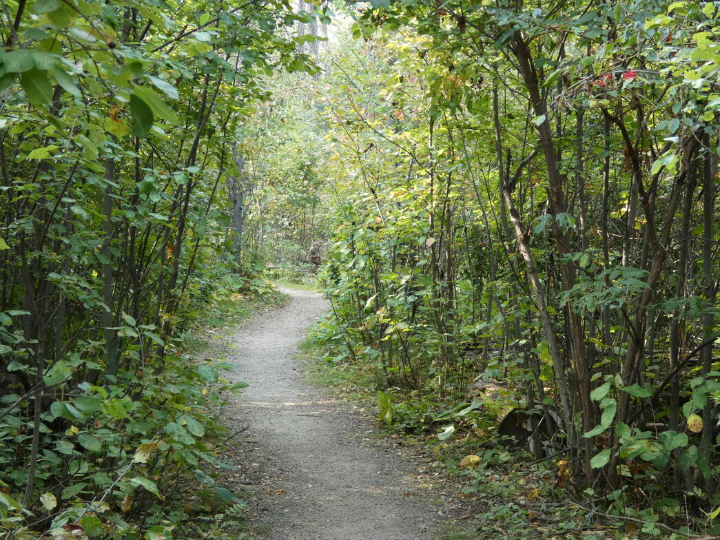 Slideshow image