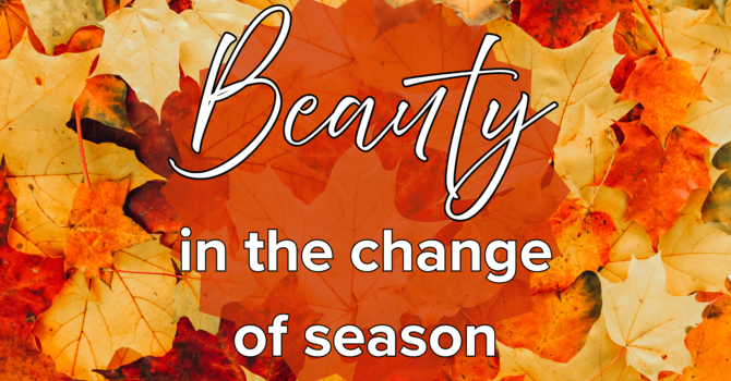 Weekly Newsletter