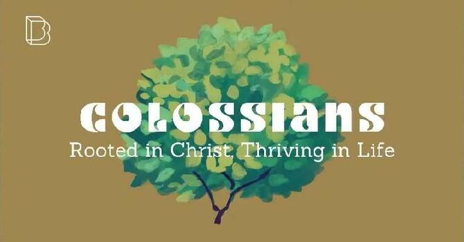 Rooted in Christ, Thriving in Life