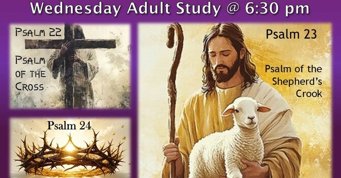 Adult Bible Study