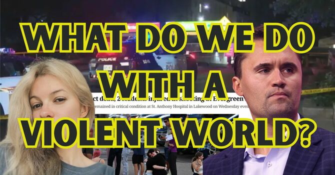 What do we do with a Violent World?