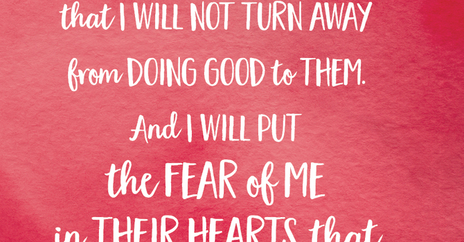 Fighter Verse | September 15, 2025 image