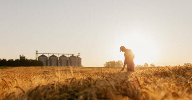 The Diligent Farmer image
