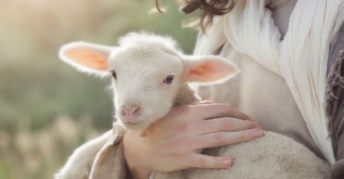 Little Lambs Mother's Group image