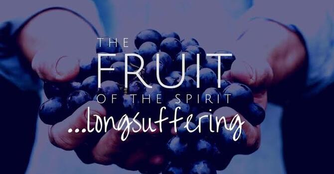 “The Character of Christ”- “We Must Have the Fruit” “Longsuffering” image
