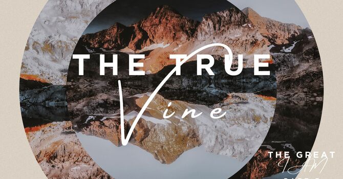 The True Vine