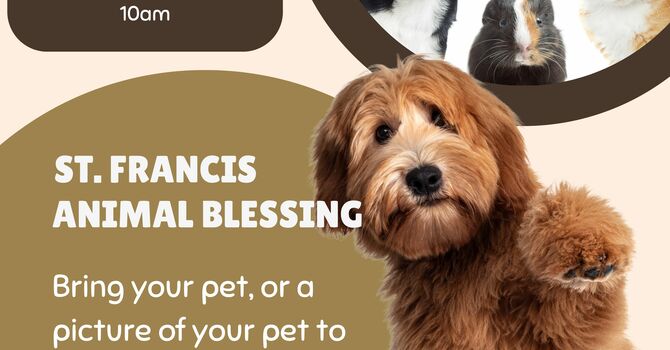 St. Francis Animal Blessing 