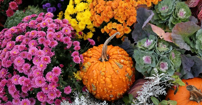 Flowers for Thanksgiving image