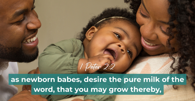 1 Peter 2:2 image