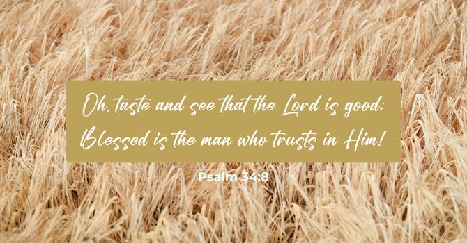Psalm 34:8 image