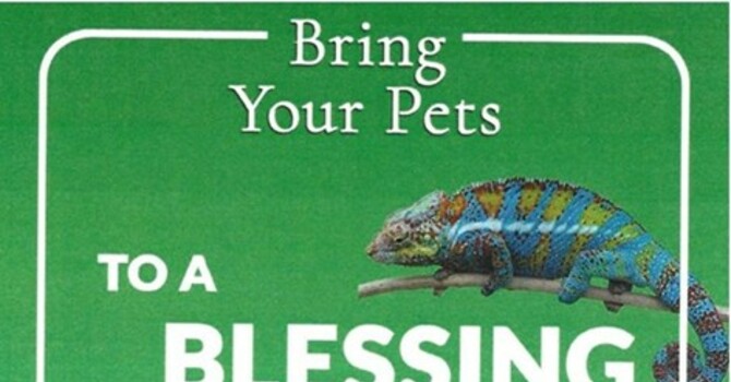 Blessing of the Animals!