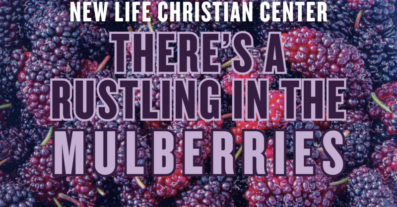 There's A Rustling In The Mulberries