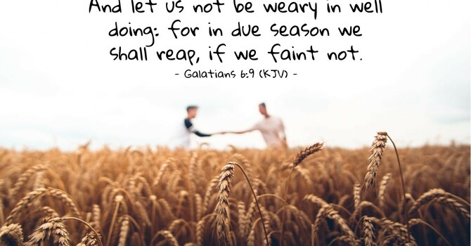 Don’t Grow Weary in Well Doing image