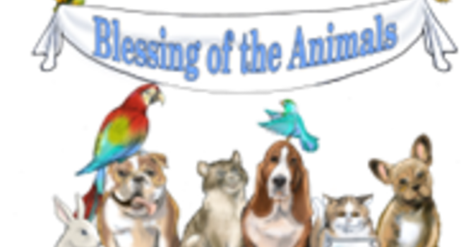 Blessing of the Animals