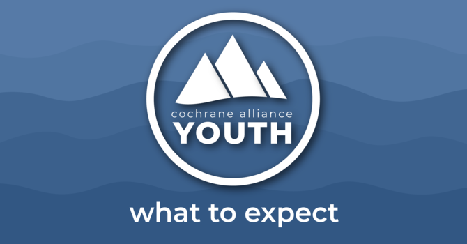 What to Expect