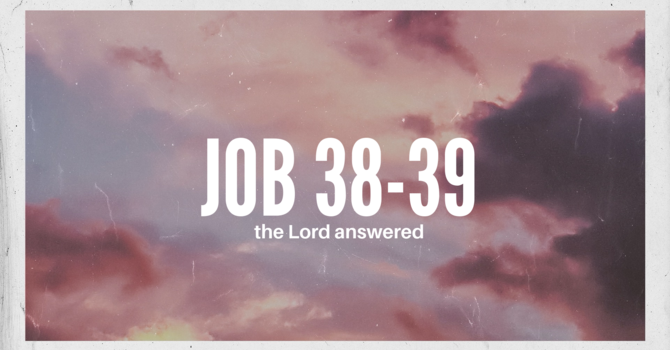 Job 38-39