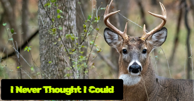 I Never Thought I Could image