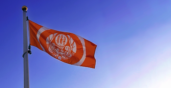 Survivors Flag