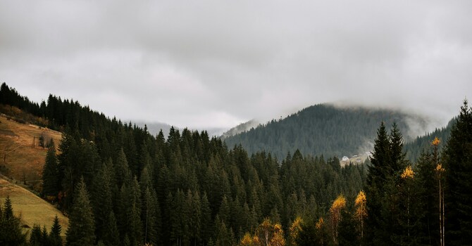 Winter 2024-2025 Newsletter image