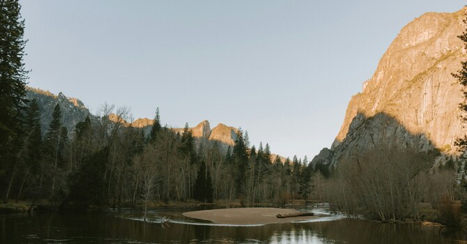 Winter 2024-2025 Newsletter image