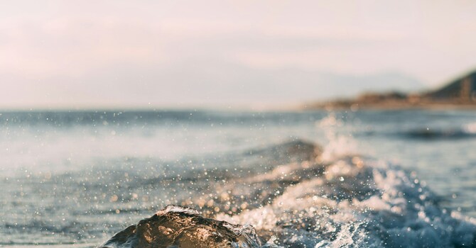 Carl Farland image