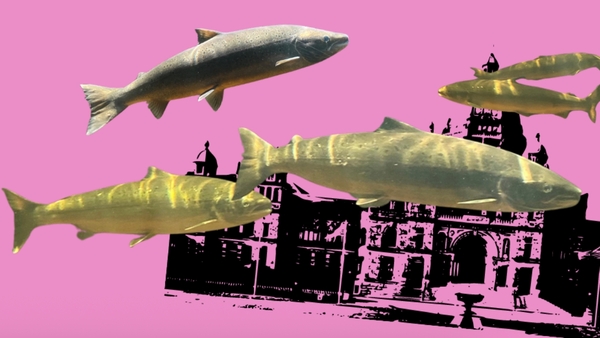 Save Goldstream! Family Friendly Art Day