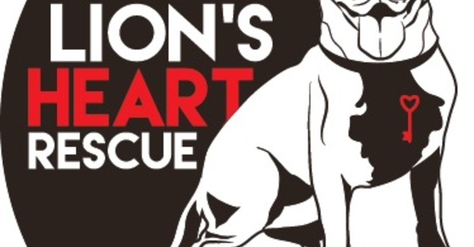 Animal Rescue Fundraiser