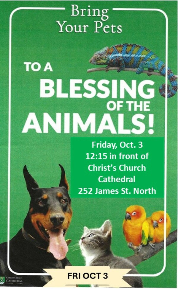 Blessing of the Animals!