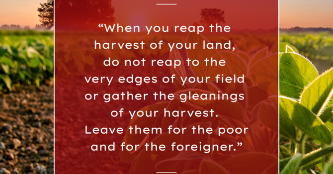 Weekly Verse: Leviticus 23:22