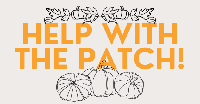 Volunteer for our pumpkin patch! image