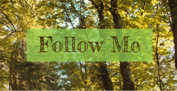 Follow Me