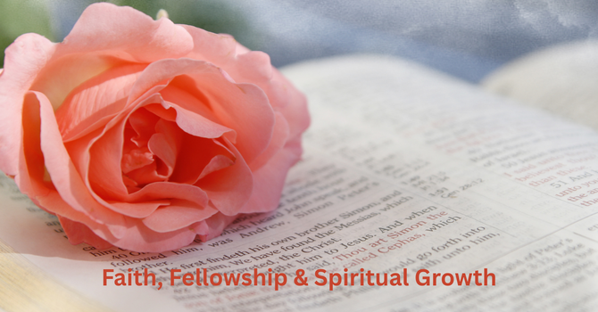 Ladies Bible Study