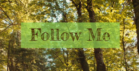 Follow Me