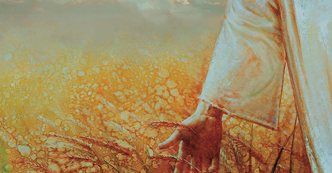 Jesus, the Lord of the Harvest image