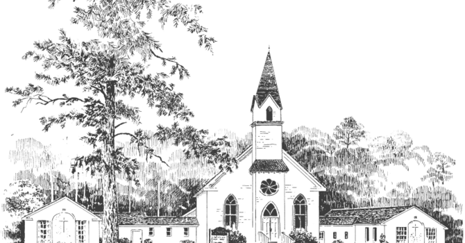 Women's Ecumenical Bible Study Group