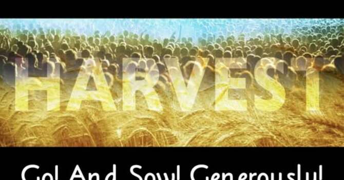 Go, And Sow! Generously!